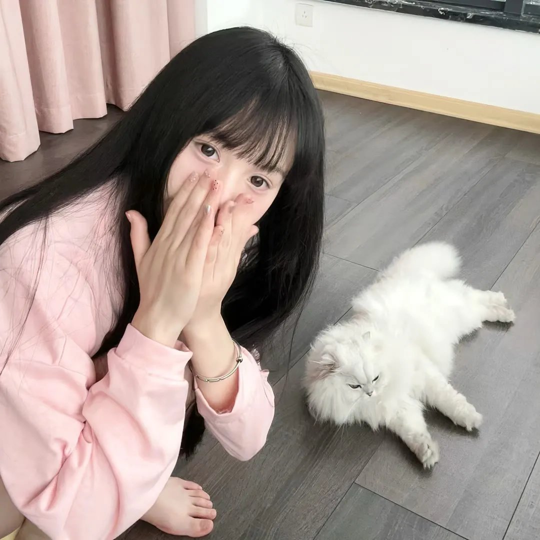 尼高当自强